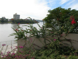 o0715051
