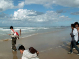 o0722431