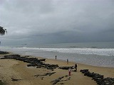 o0713112102