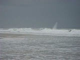 o0713112701