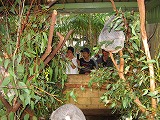 o0714133201