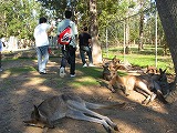 o0714140801