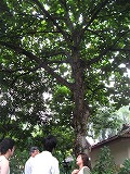 o0723104401