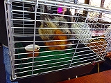150713_123708