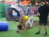 160716_144038