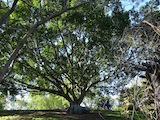 160719_144853