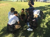 160719_151511