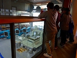 170720_134804